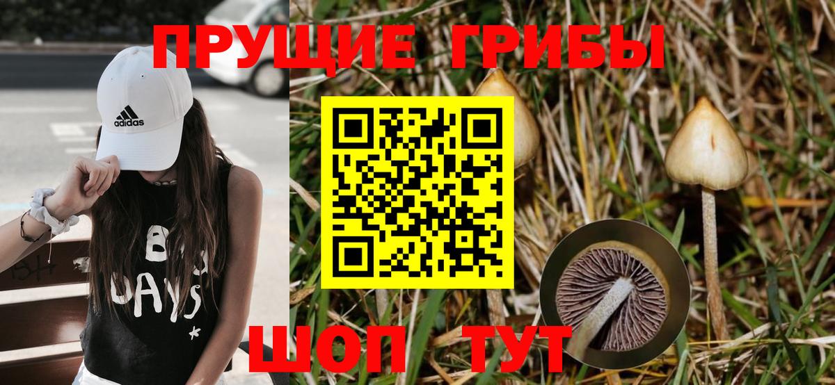 Ливны  Псилоцибиновые грибы мицелий  Вход с VPN 